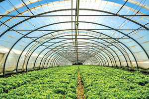 Κι επίσημα εγκρίθηκαν οι ενισχύσεις για τους θερμοκηπιακούς παραγωγούς της Κρήτης