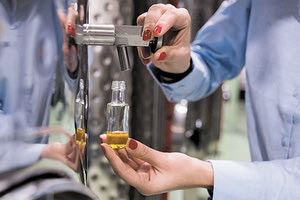 ελαιόλαδο δείγμα