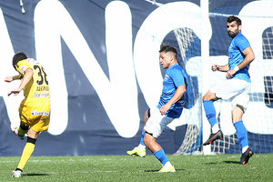 Εργοτέλης με Ιωνικό