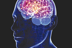 Νευροεπιστημες