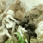 Δείτε όλα τα άρθρα από το χρήστη Συνεργάτες Εφημερίδας