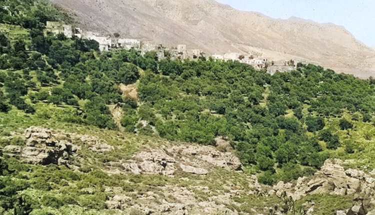 Νεοζηλανδοί στρατιώτες, μετά τη Μάχη της Κρήτης στο χωριό Κομητάδες Σφακίων.