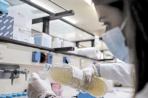 ιικό φορτίο στα αστικά λύματα