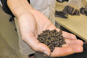 Να αντικαταστήσουν τη φορμόλη επιχειρούν επιστήμονες του ΕΛΚΕΘΕ.