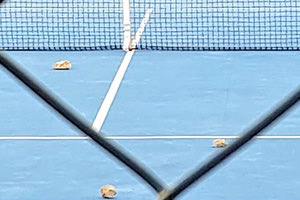 πετούσαν πέτρες στο στάδιο Ελευθερίας