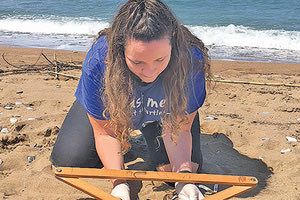 θαλάσσιες χελώνες