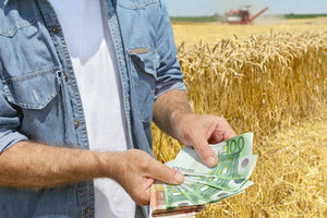 Ζεστό χρήμα