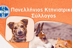 Πανελλήνιος Κτηνιατρικός Σύλλογος
