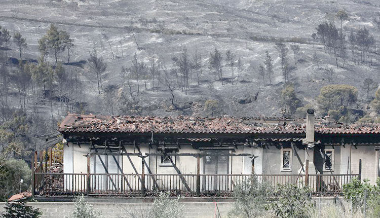 φωτιά Μέγαρα καταστροφή