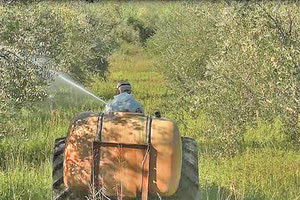 δακοκτονία
