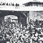 Δείτε όλα τα άρθρα από το χρήστη Αντώνης Σανουδάκης