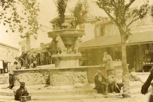 H φωτογραφία της ημέρας: Λιοντάρια στις αρχές του περασμένου αιώνα