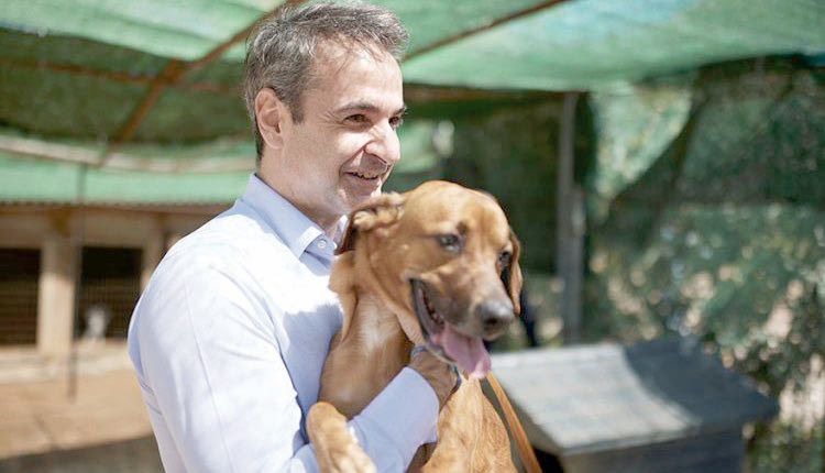 το αδέσποτο σκυλάκι που απέκτησε πριν λίγο καιρό ο πρωθυπουργός Κώστας Μητσοτάκης