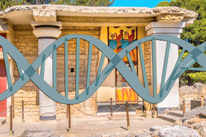 Το DNA δείχνει γενετικές ομοιότητες μεταξύ Μινωιτών, Ελλαδικού και Κυκλαδικού πολιτισμού