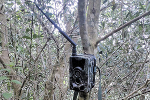 High Tech χασισοφυτεία με κάμερες