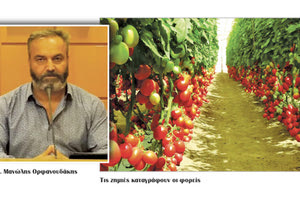 Μανώλης Ορφανουδάκης - Ζημιές Αγροτών