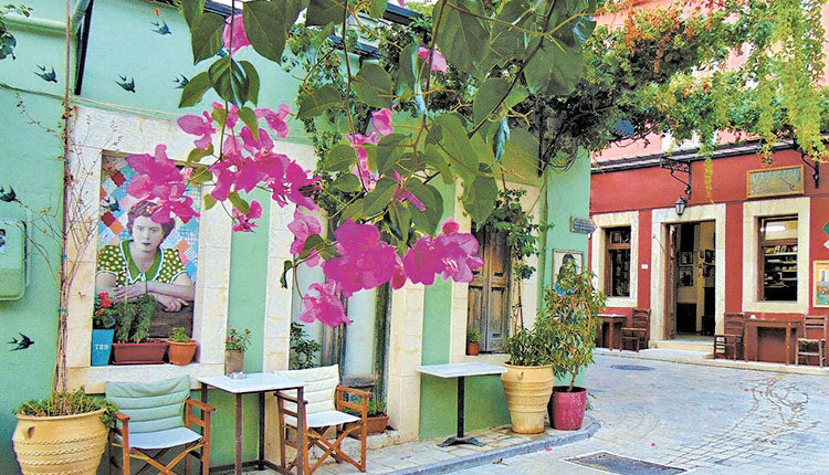 ορτανσίες της γιαγιάς Ελένης