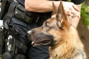 μεγάλη επιχείρηση Αστυνομίας