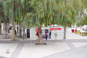 Το σύνθημα της φετινής εκστρατείας του Παγκόσμιου Οργανισμού Υγείας για τον εορτασμό της Παγκόσμιας Ημέρας Εθελοντή Αιμοδότη είναι «Δώστε αίμα και κάντε τον παλμό του κόσμου να χτυπάει»