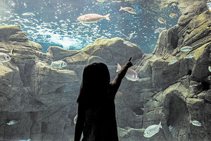 ΕΝΥΔΡΕΙΟ ΗΡΑΚΛΕΙΟΥ