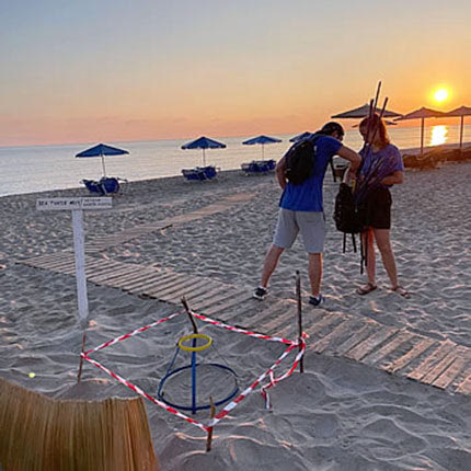 προστασία Καρέτα καρέτα