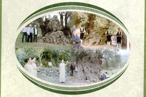 ΕΝΑΣ ΘΗΣΑΥΡΟΣ ΤΗΣ ΓΗΣ ΜΕ ΤΗΝ ΠΕΝΑ ΤΟΥ ΝΙΚΟΥ ΜΙΧΕΛΑΚΗ Η ιστορία της Κρήτης μέσα από τα ελαιόδεντρά της