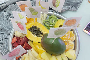 Πρόγραμμα Erasmus Φρουτα