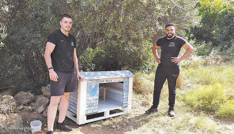 Βίλλα για γάτες