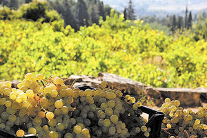 αγροτική παραγωγή