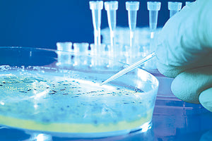 Το εκπαιδευτικό έργο της Δημόσιας Τράπεζας Ομφαλικών Βλαστοκυττάρων