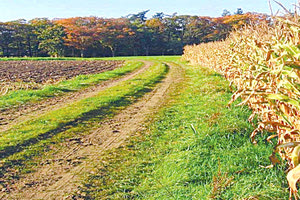 Σύμπραξη τεσσάρων εκπαιδευτικών και ερευνητικών ιδρυμάτων με στόχο την ενίσχυση του αγροδιατροφικού τομέα