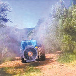 Δείτε όλα τα άρθρα από το χρήστη Γιώργος Παπαδάκης