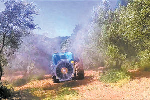 δακοκτονία