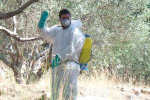 δακοκτονία