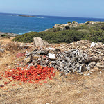 Δείτε όλα τα άρθρα από το χρήστη Χρόνης Ινιωτάκης