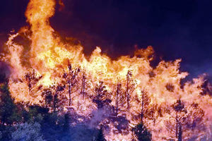 Δύο εμπρηστικές ενέργειες εξετάζεται ότι ευθύνονται για την καταστροφή στις Ασίτες