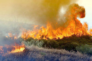 Η φωτιά έκαψε πολλά στρέμματα