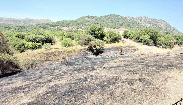 Η φωτιά στο Αηδονοχώρι τέθηκε γρήγορα υπό έλεγχο