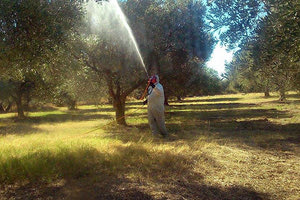 Πού συνεχίζονται οι ψεκασμοί