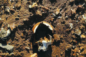 Το κρανίο που βρέθηκε στην Ντία