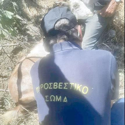 κατσίκα σε πηγάδι