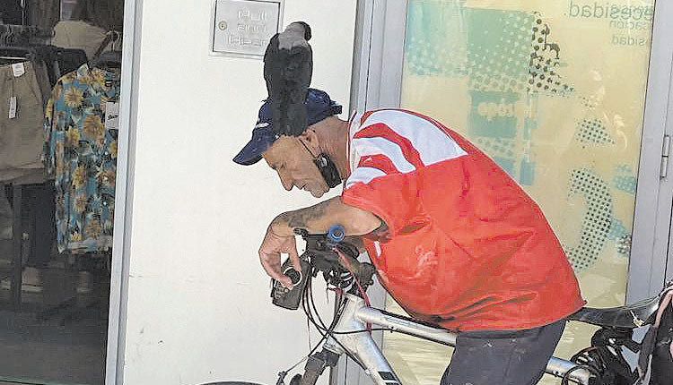 κοράκι στο κεφάλι