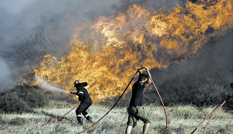 δασική πυρκαγιά