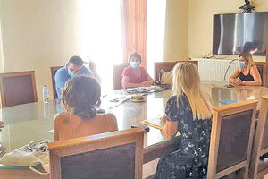 Συντονιστικό για τα αδέσποτα