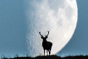 Εξορμήσεις στην Κρήτη με την εντυπωσιακή πανσέληνο του Κόκκινου Ελαφιού 