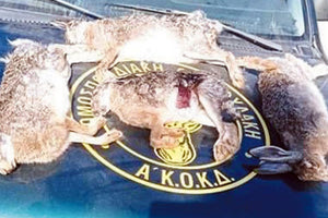 Παράνομο Κυνήγι