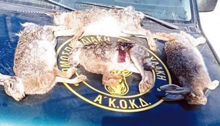 Παράνομο Κυνήγι