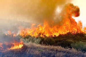 Δεκάδες στρέμματα κάηκαν στις δύο πυρκαγιές στους νομούς Λασιθίου και Ηρακλείου