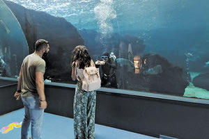 Της έκανε πρόταση στο Ενυδρείο!