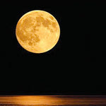 Δείτε όλα τα άρθρα από το χρήστη Ελένη Μανιωράκη